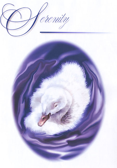 Duck painted on computer using Software Painter Duck painted on computer using Software Painter