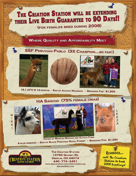 Printed Ad for Criation Station